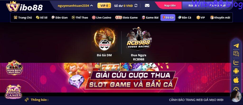 Sảnh đá gà wibo88 mang lại trải nghiệm thú vị như thế nào?