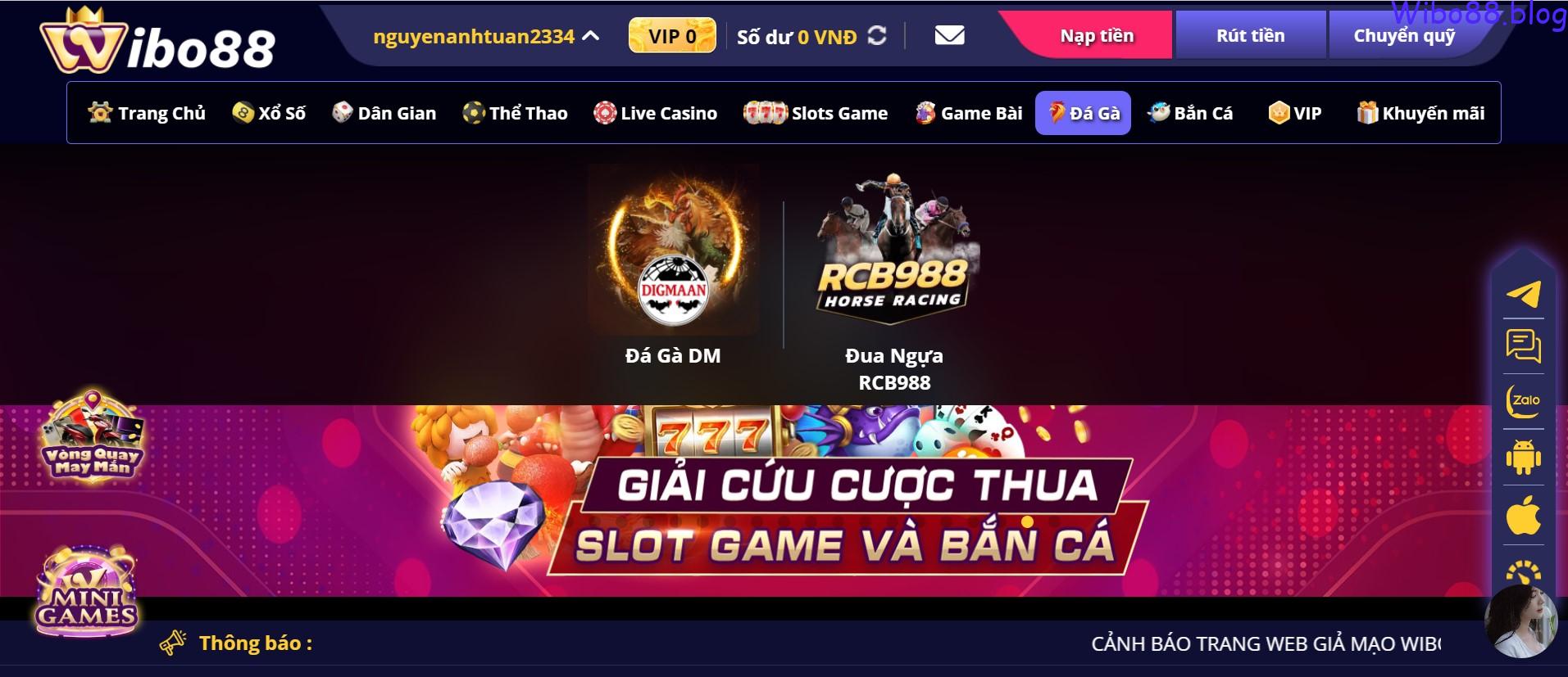 Sảnh đá gà wibo88 mang lại trải nghiệm thú vị như thế nào?